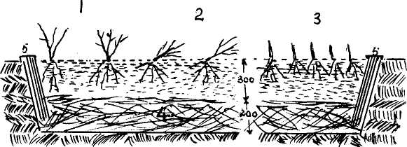 Посадка саженцев ягодных культур на очень плотных или переувлажненных грунтах и траншеи с доимым (4) и вертикальным (5) дренажем